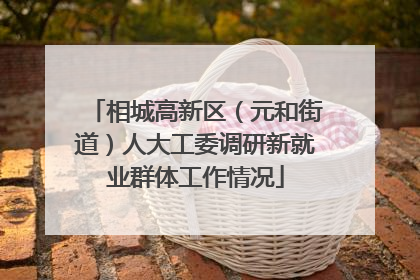 相城高新区（元和街道）人大工委调研新就业群体工作情况