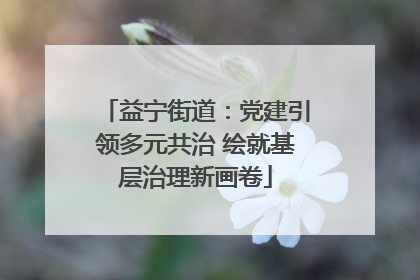 益宁街道：党建引领多元共治 绘就基层治理新画卷