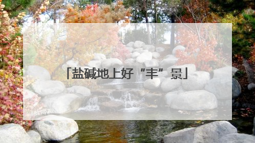盐碱地上好“丰”景
