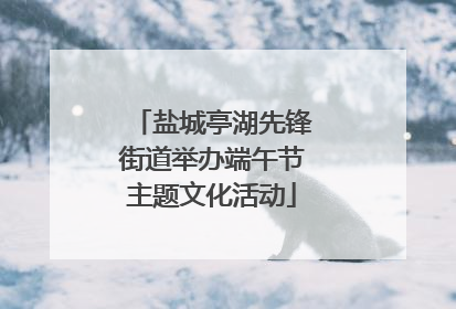 盐城亭湖先锋街道举办端午节主题文化活动