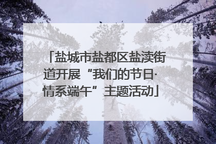 盐城市盐都区盐渎街道开展“我们的节日·情系端午”主题活动