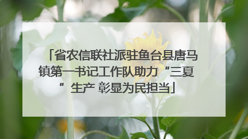 省农信联社派驻鱼台县唐马镇第一书记工作队助力“三夏”生产 彰显为民担当