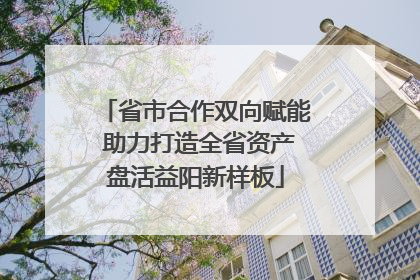省市合作双向赋能 助力打造全省资产盘活益阳新样板