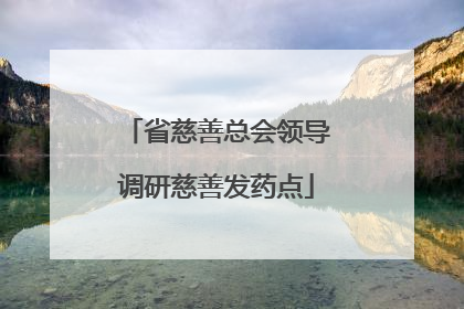 省慈善总会领导调研慈善发药点