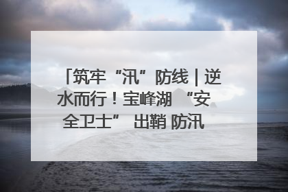 筑牢“汛”防线｜逆水而行！宝峰湖 “安全卫士” 出鞘 防汛应急再添硬核力量