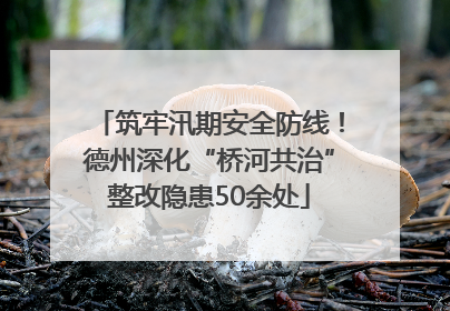 筑牢汛期安全防线！德州深化“桥河共治”整改隐患50余处
