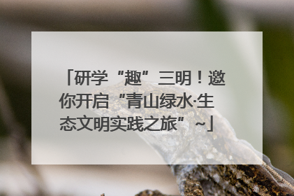 研学“趣”三明！邀你开启“青山绿水·生态文明实践之旅”~