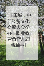 禹城：中菲经贸文化交流大会举办，职业教育合作开启新篇章