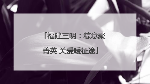福建三明：粽意聚菁英 关爱暖征途