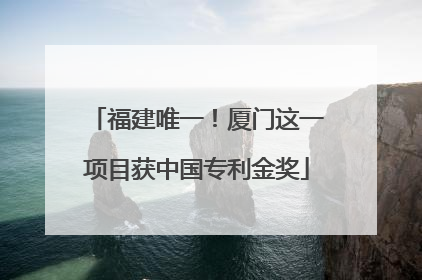 福建唯一！厦门这一项目获中国专利金奖