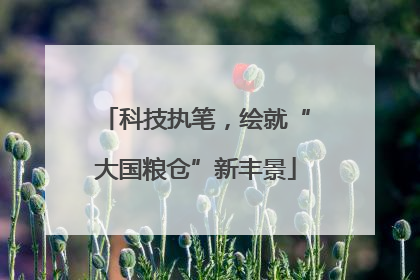 科技执笔，绘就“大国粮仓”新丰景