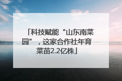 科技赋能“山东南菜园”，这家合作社年育菜苗2.2亿株