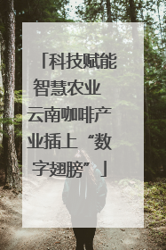 科技赋能智慧农业 云南咖啡产业插上“数字翅膀”