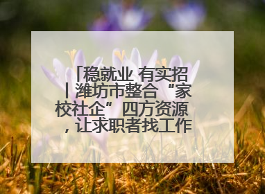 稳就业 有实招丨潍坊市整合“家校社企”四方资源，让求职者找工作不孤单