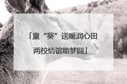 童“葵”送暖润心田 两校情谊助梦圆