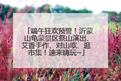 端午狂欢预警！沂蒙山龟蒙景区祭山演出、艾香手作、对山歌、逛市集！速来嗨玩~