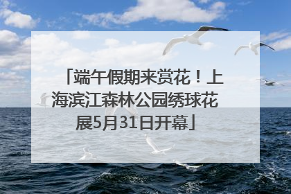 端午假期来赏花！上海滨江森林公园绣球花展5月31日开幕