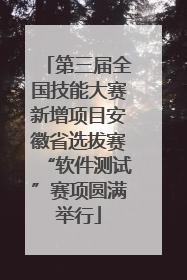 第三届全国技能大赛新增项目安徽省选拔赛“软件测试”赛项圆满举行