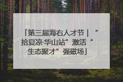 第三届海右人才节｜“拾夏凉·华山站”激活“生态聚才”强磁场