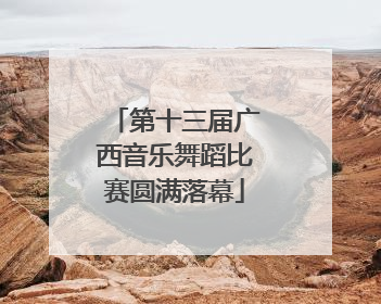 第十三届广西音乐舞蹈比赛圆满落幕