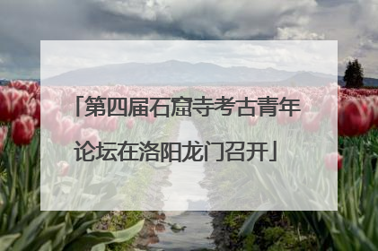第四届石窟寺考古青年论坛在洛阳龙门召开