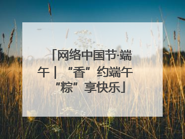 网络中国节·端午｜“香”约端午 “粽”享快乐