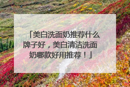 美白洗面奶推荐什么牌子好，美白清洁洗面奶哪款好用推荐！