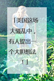 美国这场大骚乱中，有人提出一个大胆想法！