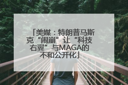 美媒：特朗普马斯克“闹崩”让“科技右翼”与MAGA的不和公开化