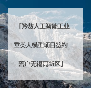 羚数人工智能工业垂类大模型项目签约落户无锡高新区