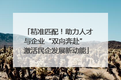 精准匹配！助力人才与企业“双向奔赴” 激活民企发展新动能