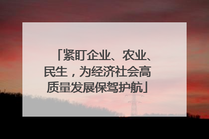 紧盯企业、农业、民生，为经济社会高质量发展保驾护航
