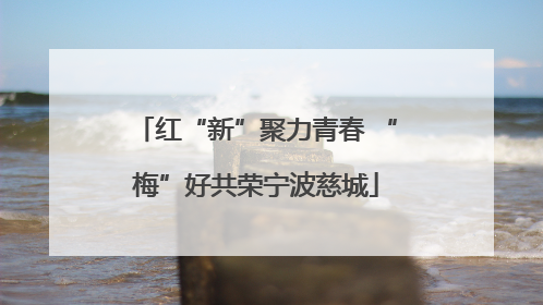 红“新”聚力青春 “梅”好共荣宁波慈城