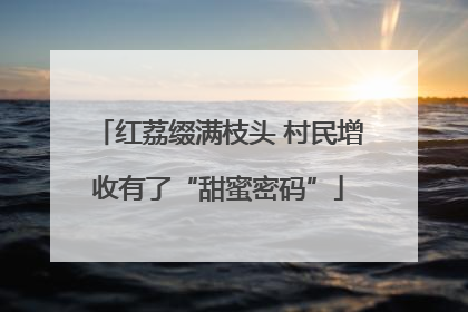 红荔缀满枝头 村民增收有了“甜蜜密码”