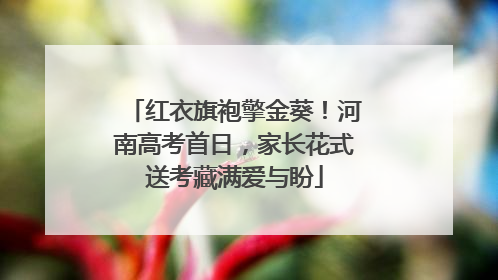 红衣旗袍擎金葵！河南高考首日，家长花式送考藏满爱与盼