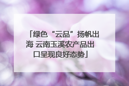 绿色“云品”扬帆出海 云南玉溪农产品出口呈现良好态势