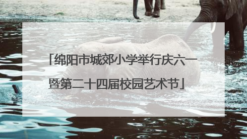 绵阳市城郊小学举行庆六一暨第二十四届校园艺术节
