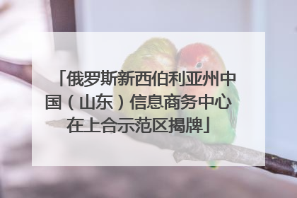 俄罗斯新西伯利亚州中国（山东）信息商务中心在上合示范区揭牌