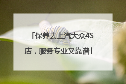保养去上汽大众4S店，服务专业又靠谱