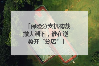 保险分支机构裁撤大潮下，谁在逆势开“分店”