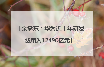 余承东：华为近十年研发费用为12490亿元