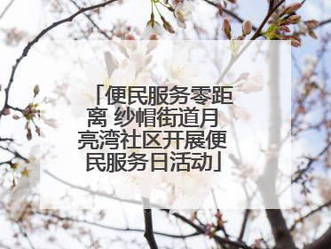 便民服务零距离 纱帽街道月亮湾社区开展便民服务日活动