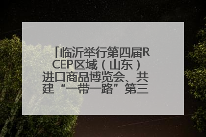 临沂举行第四届RCEP区域（山东）进口商品博览会、共建“一带一路”第三届临沂商城国际采购商大会新闻发布会