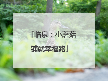 临泉：小蘑菇铺就幸福路