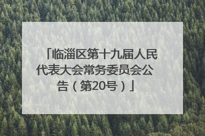 临淄区第十九届人民代表大会常务委员会公告（第20号）