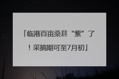 临港百亩桑葚“紫”了！采摘期可至7月初
