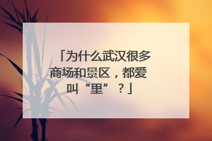 为什么武汉很多商场和景区，都爱叫“里”？