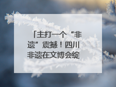 主打一个“非遗”震撼！四川非遗在文博会绽放时代光彩｜文博向“新”