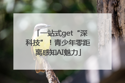 一站式get“深科技”！青少年零距离感知AI魅力