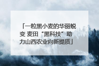 一粒黑小麦的华丽蜕变 麦田“黑科技”助力山西农业向新提质